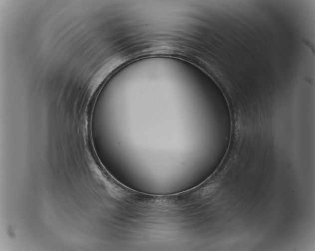 X0000103421418200809261656