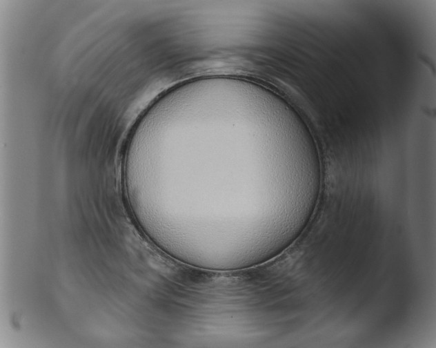 X0000103421419200809261656