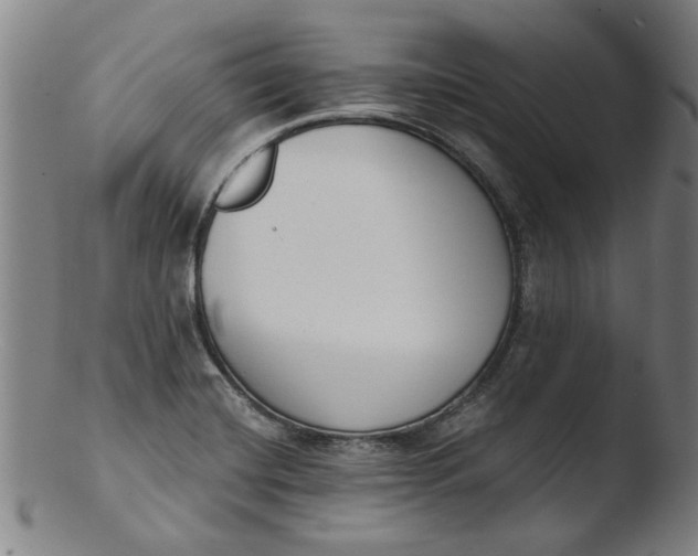 X0000103421420200809261656