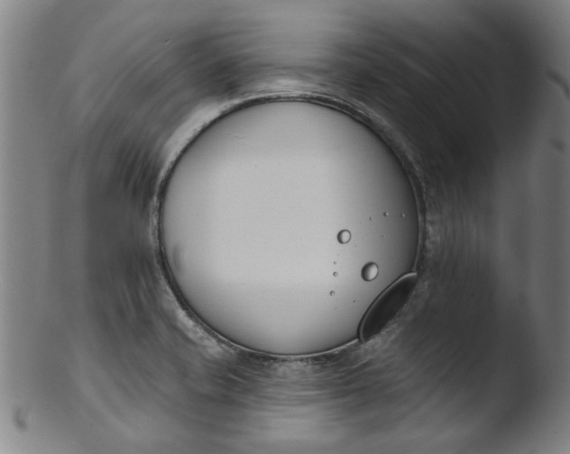 X0000103421421200809261656