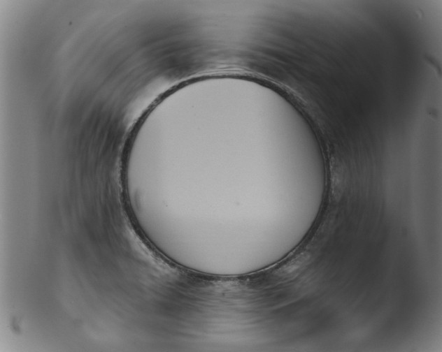 X0000103421422200809261656
