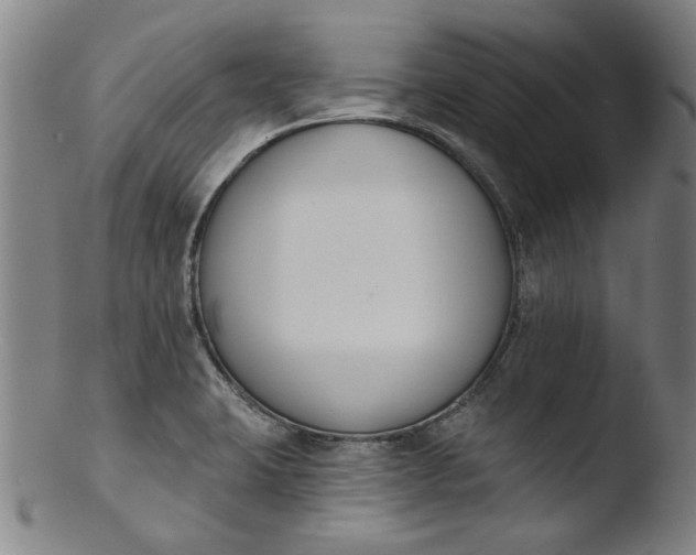 X0000103421423200809261656