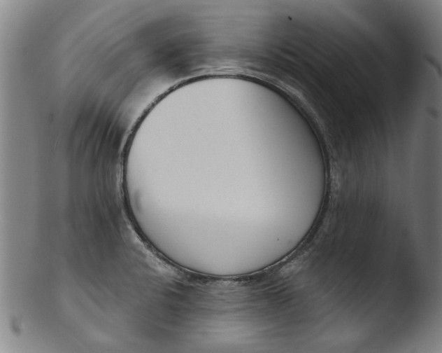 X0000103421424200809261656