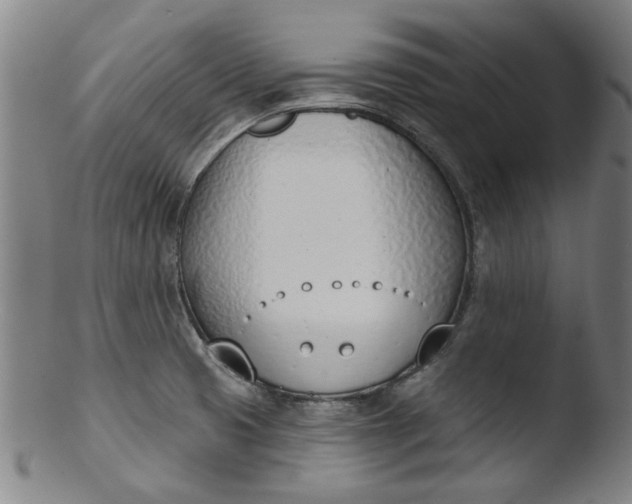 X0000103421425200809261656