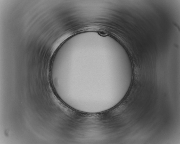 X0000103421426200809261656