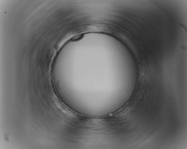 X0000103421427200809261656