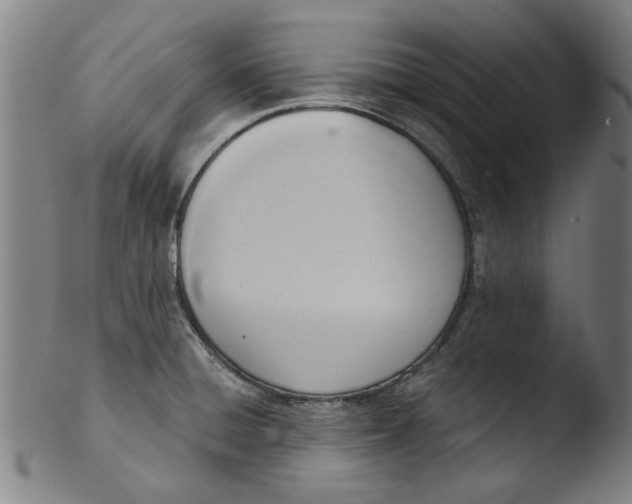 X0000103421428200809261656