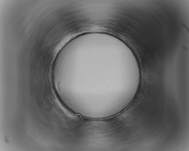 X0000103421429200809261656