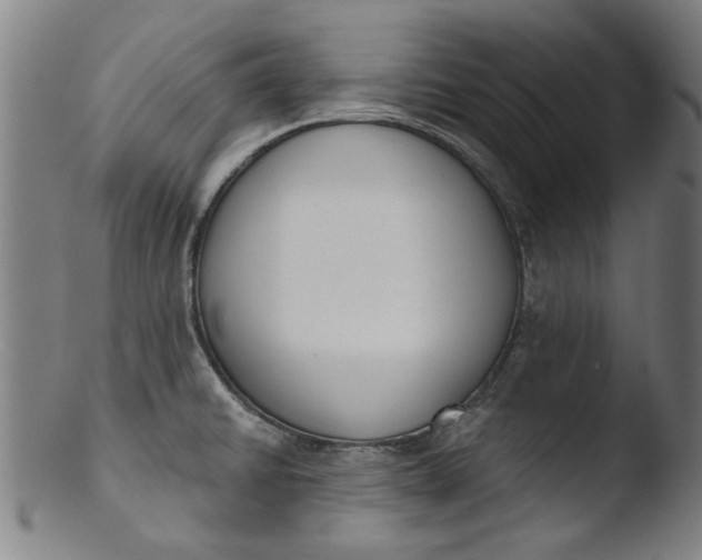 X0000103421430200809261656