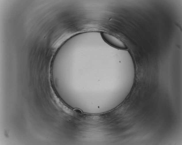 X0000103421431200809261656