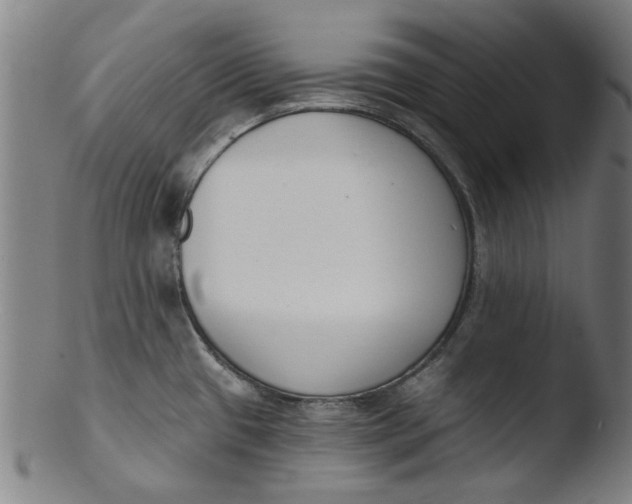 X0000103421433200809261656