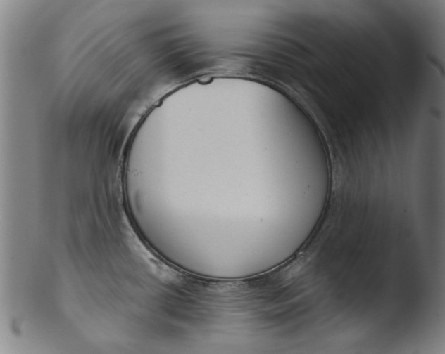 X0000103421434200809261656