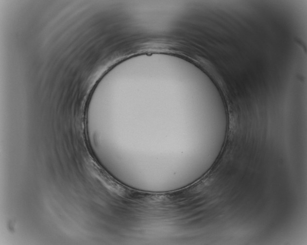 X0000103421435200809261656