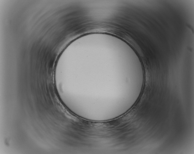 X0000103421436200809261656