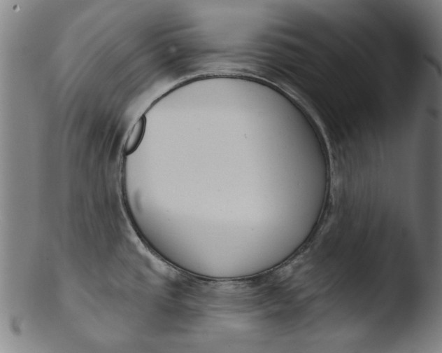 X0000103421437200809261656