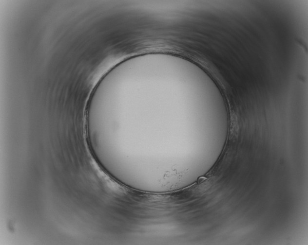 X0000103421439200809261656
