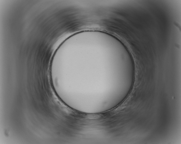 X0000103421440200809261656