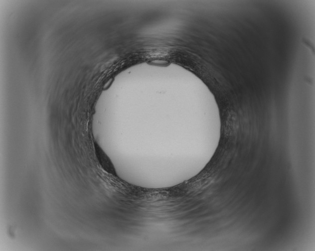 X0000103421441200809261656
