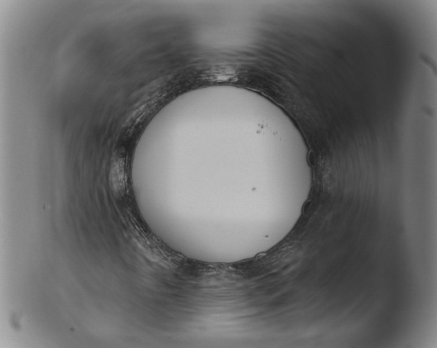 X0000103421442200809261656