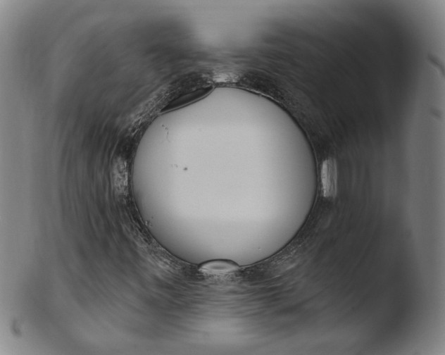 X0000103421443200809261656