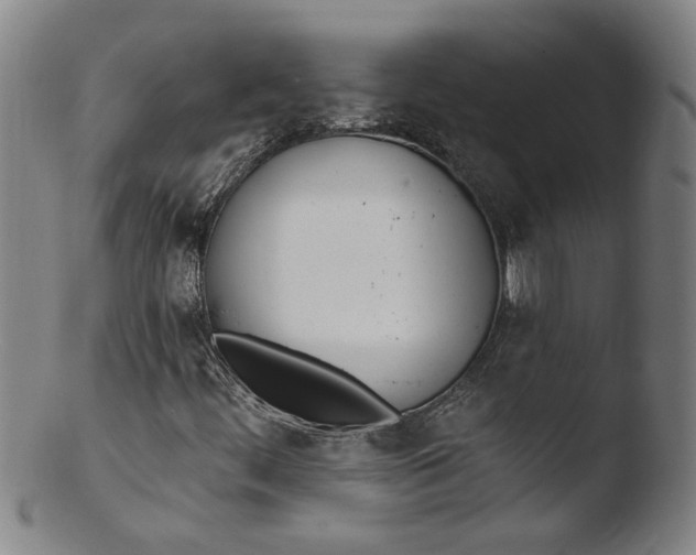 X0000103421444200809261656