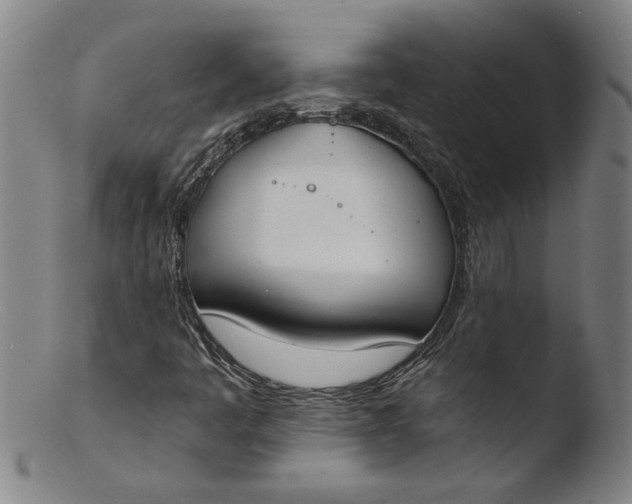 X0000103421445200809261656