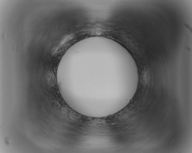 X0000103421446200809261656