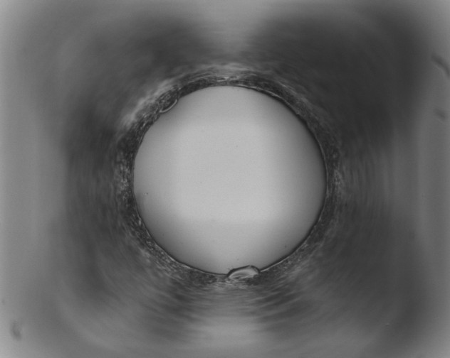 X0000103421447200809261656