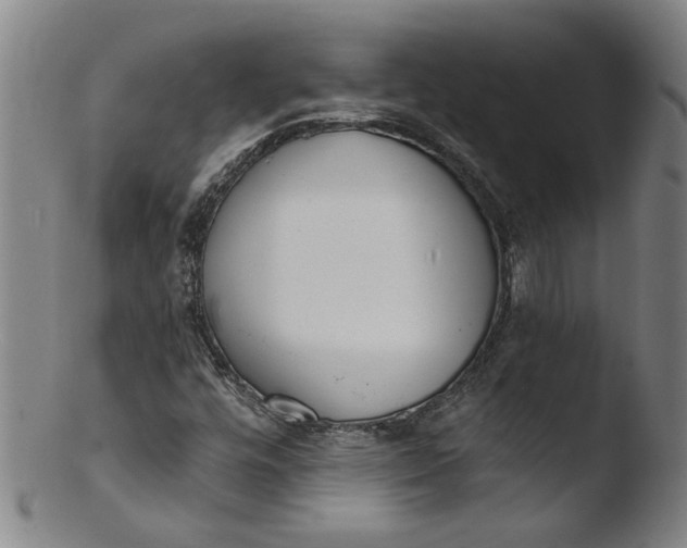 X0000103421448200809261656