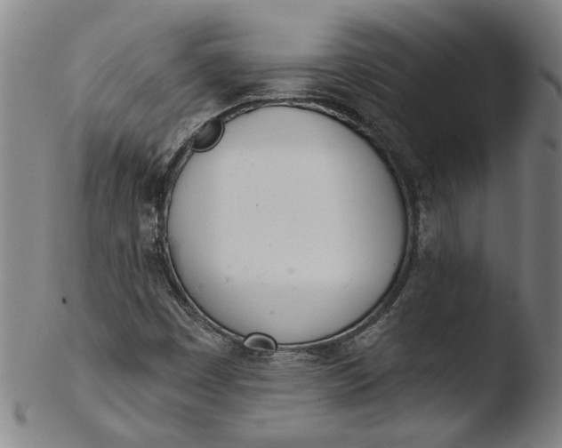 X0000103421449200809261656