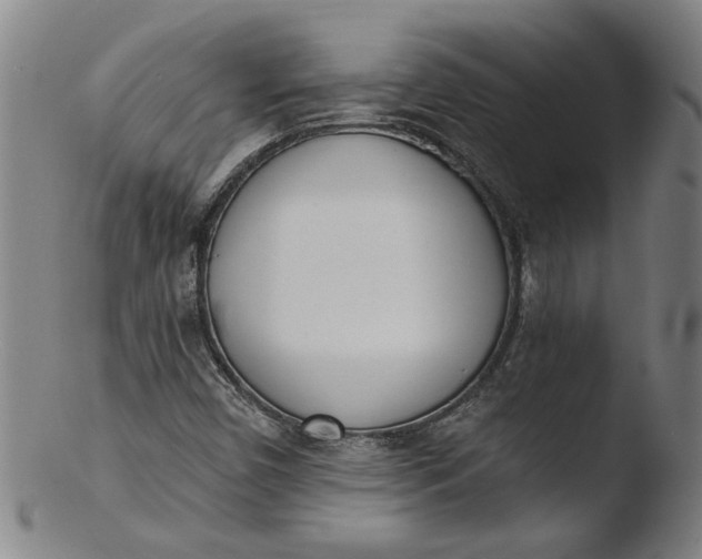 X0000103421450200809261656