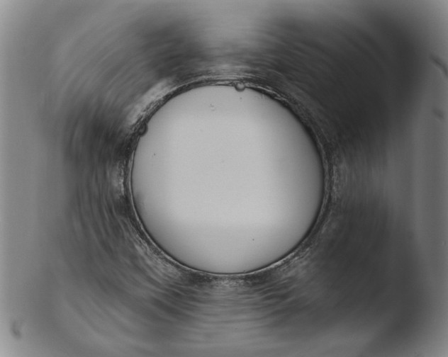 X0000103421451200809261656
