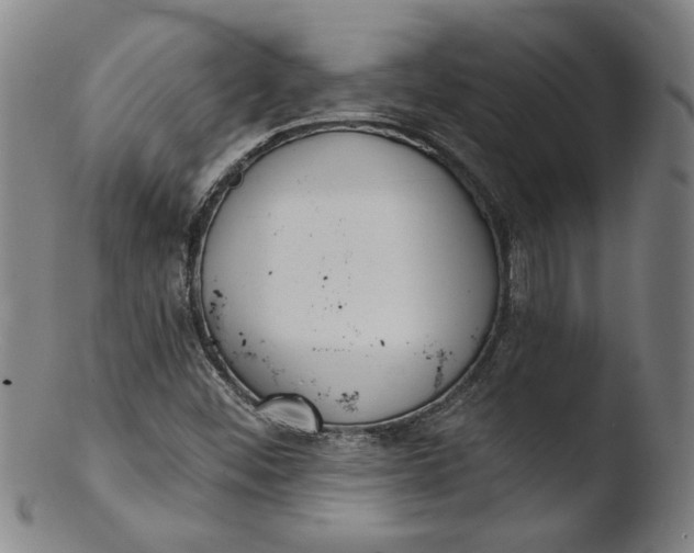 X0000103421452200809261656