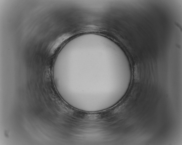X0000103421453200809261656