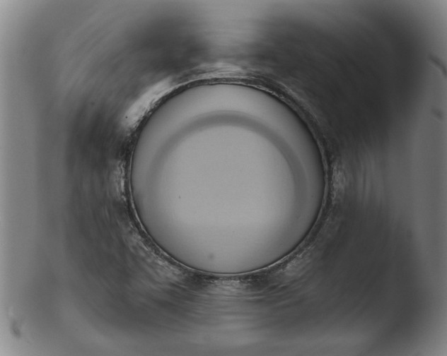 X0000103421455200809261656
