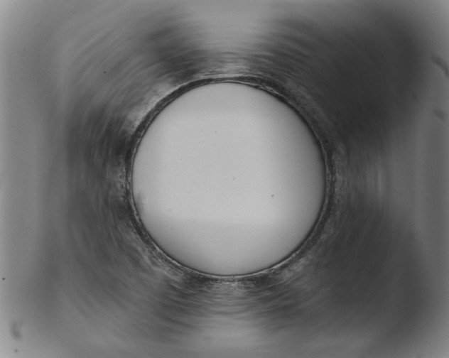 X0000103421457200809261656
