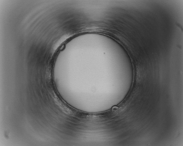 X0000103421458200809261656