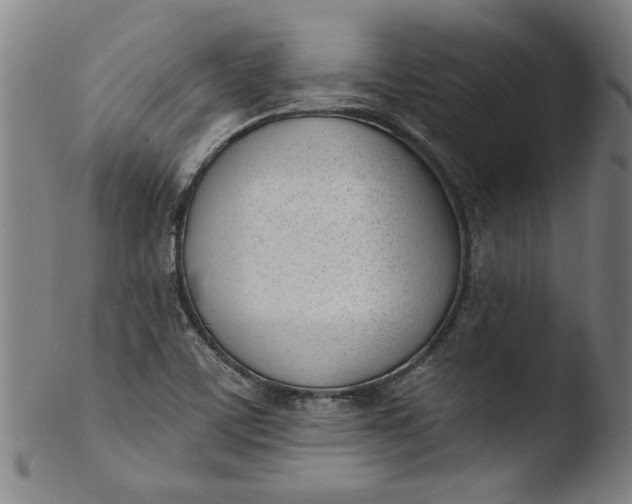 X0000103421459200809261656