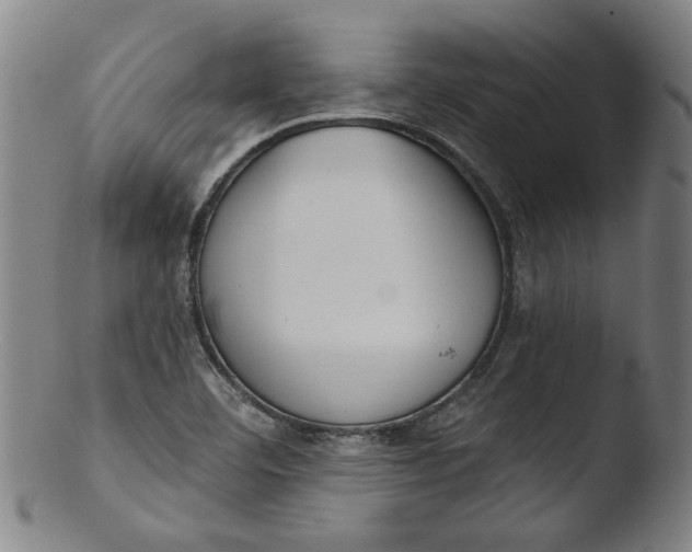 X0000103421460200809261656