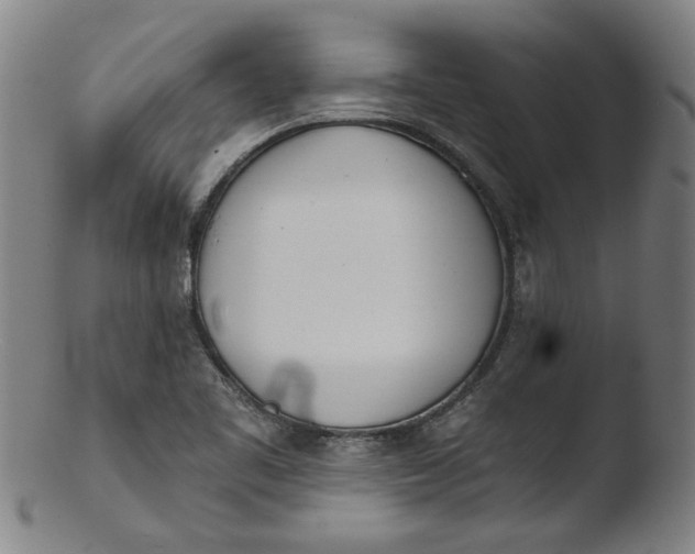 X0000103421461200809261656