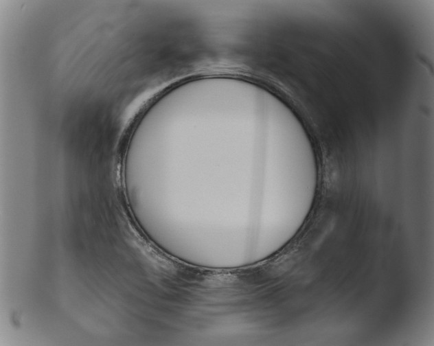 X0000103421462200809261656