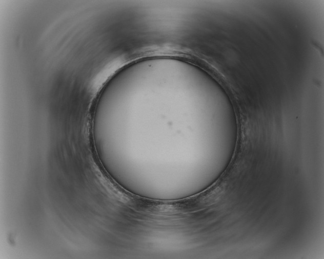X0000103421463200809261656