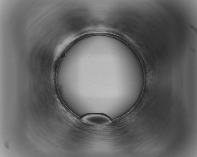 X0000103421464200809261656