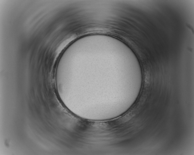 X0000103421466200809261655