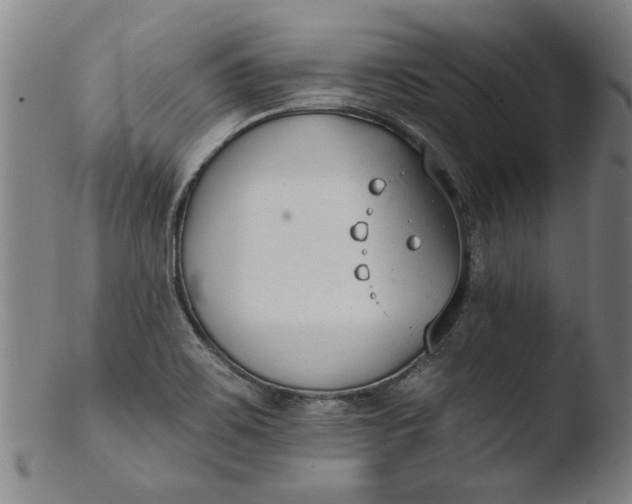 X0000103421467200809261655