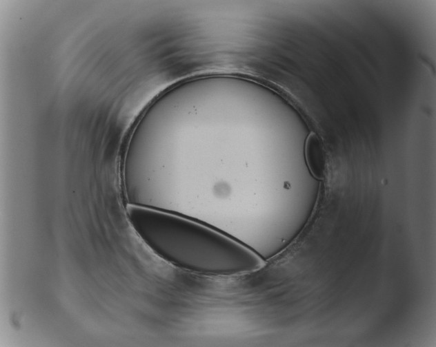 X0000103421468200809261655