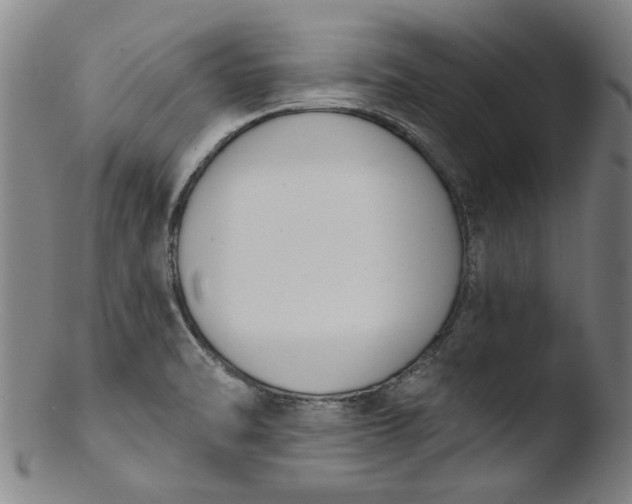 X0000103421470200809261655