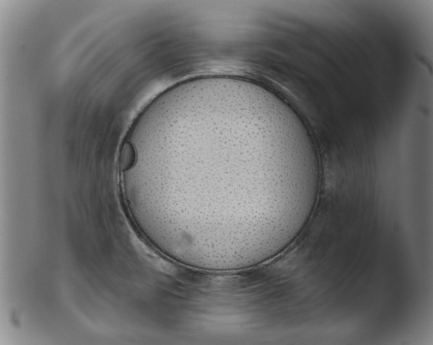 X0000103421471200809261655