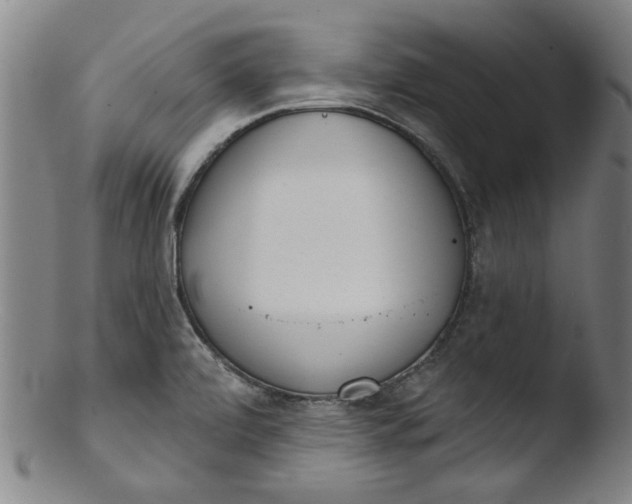 X0000103421472200809261655