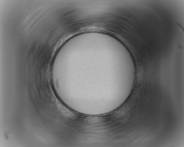X0000103421474200809261655
